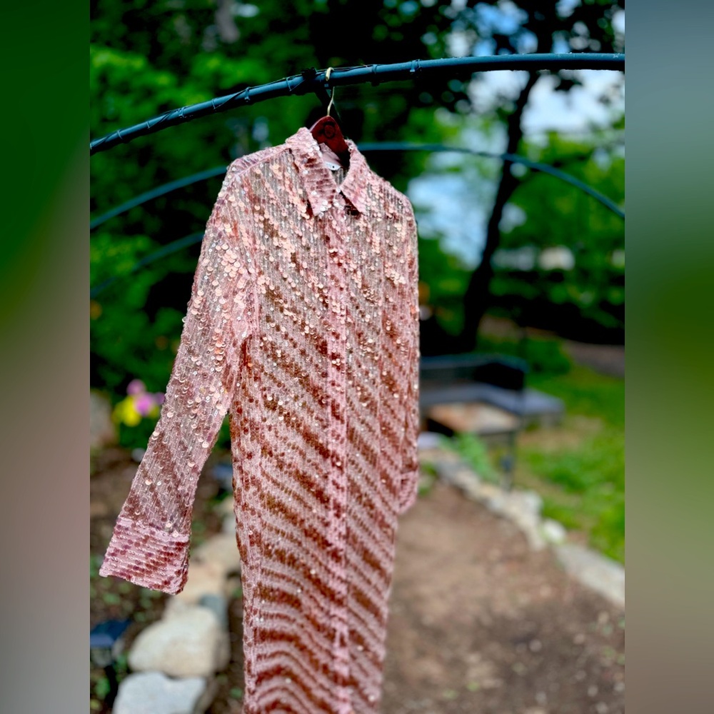 ZARA BUTTON DOWN SEQUINED SHEER DUSTER DRESS - Picture 13 of 14